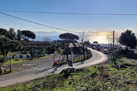 Vanuit Rome: Dagtrip Pompeii en de Vesuviusberg met lunchPompeii & Vesuvius met kegelwandeling