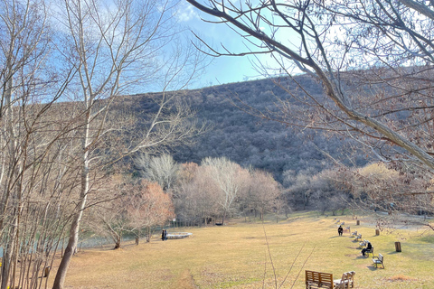 Tbilisi: Elegantie van traditionele architectuur &amp; Schildpaddenmeer