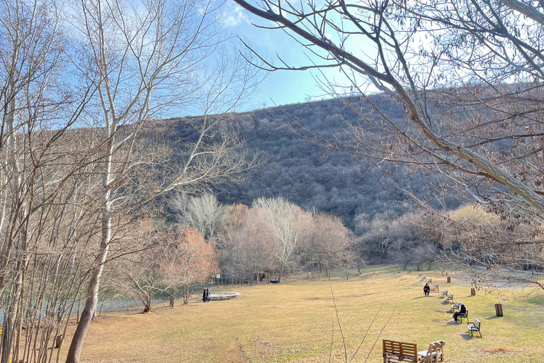 Tbilisi: Elegantie van traditionele architectuur &amp; Schildpaddenmeer