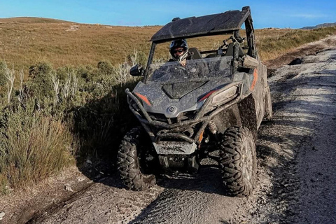 Hammamet: Premium Buggy Tour with Photo Stops