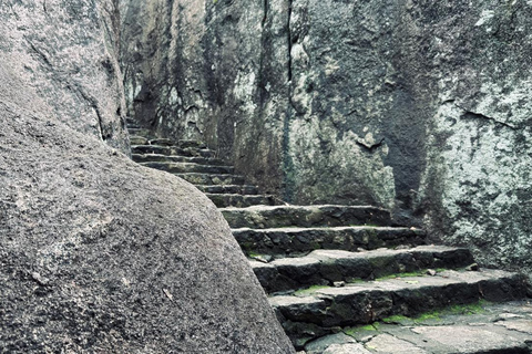 From Colombo: Gampaha District Temples & Jungle Hike Tour