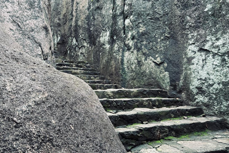 From Colombo: Gampaha District Temples & Jungle Hike Tour