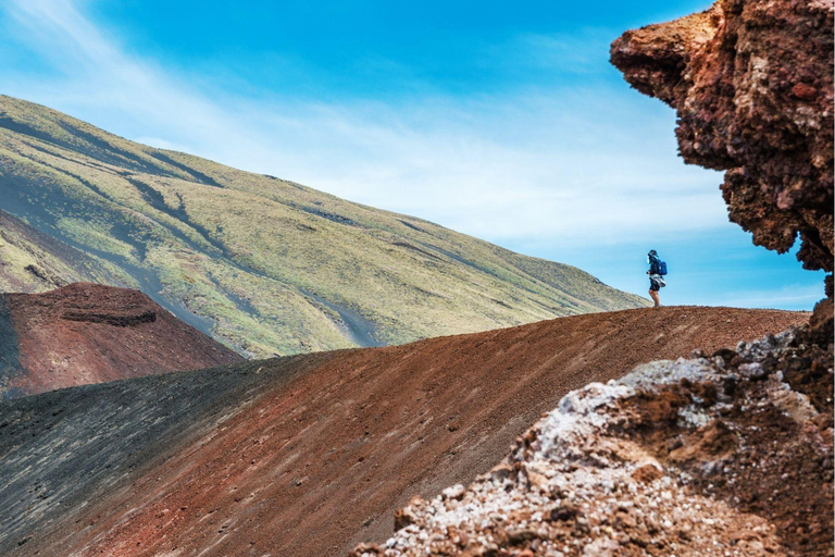 Mount Etna & Taormina Multi-language Tour from Palermo