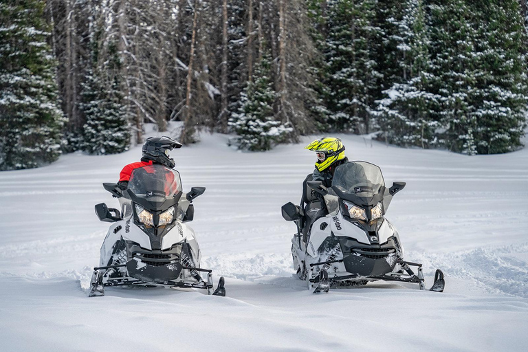 Jackson Hole: Turpin Meadow Snowmobile Tour Half-Day Morning Tour- Driver Only