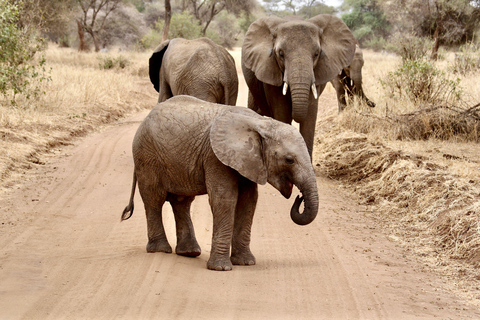 From Arusha: Full-Day Safari with a Park of Your Choice Lake Manyara National Park