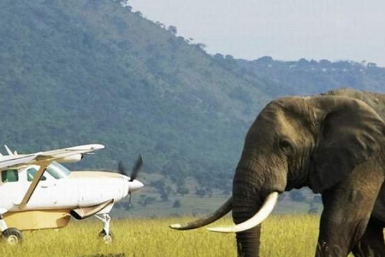 Nairobi: 3-Day Fly-In Private Maasai Mara Safari Experince