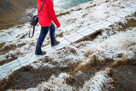 Reine: Winter Snowshoe Hike to Ryten – With Local Guide