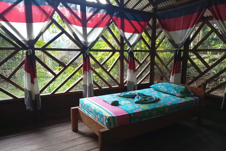 3-Day Amazon Expedition: Jungle, River & Wildlife Tour