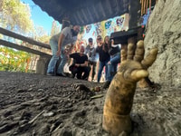 Città del Messico, Xochimilco Boat Tour & The Island of the Dolls - Hizvo