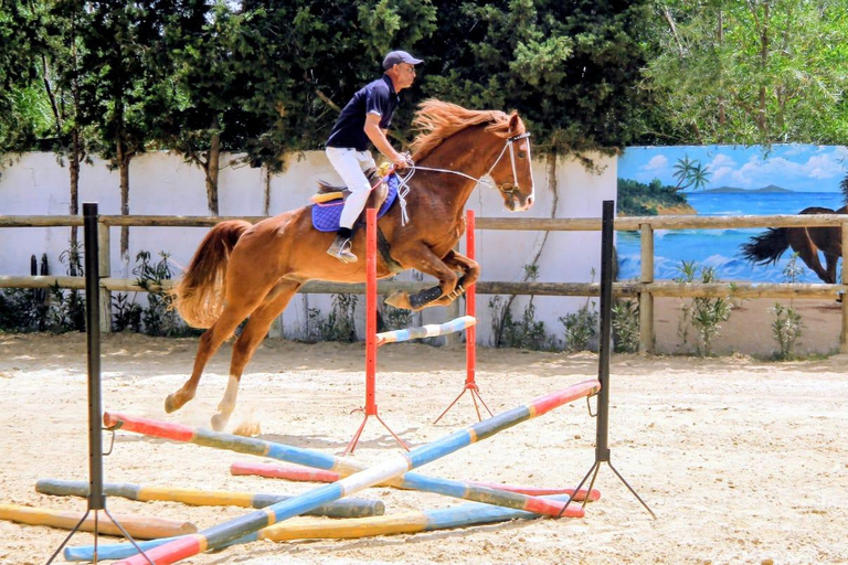 Hammamet equitation : Balade à cheval le long de la plage