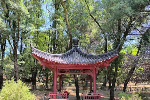 Tirana: Guided City Tour with Grand Park Walk & Train Ride