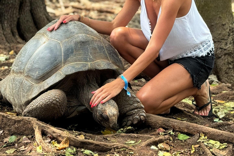 Ciudad de piedra y prisión Isla