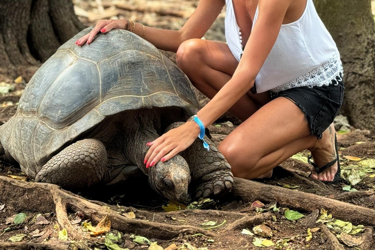 Ciudad de piedra y prisión Isla