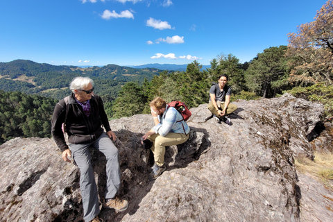 Oaxaca: Sierra Norte Hike & Indigenous Village