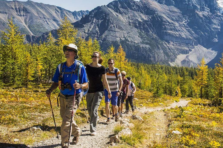 Tashkent: Chimgan Mountains, Charvak Lake, & Amirsoy Tour