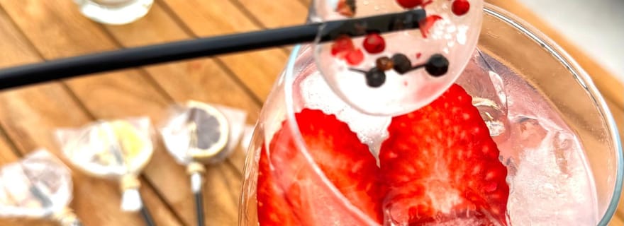 Santa Pola : dégustation de gin tonic et promenade en voilier au coucher du soleil