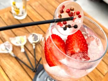 Santa Pola: Cata de gin-tonic y paseo en velero al atardecer