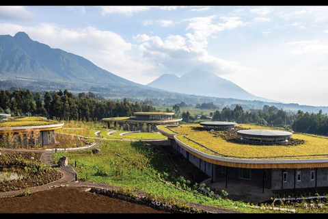 1 Day Rwanda gorilla Trekking and Dian Fossey Museum