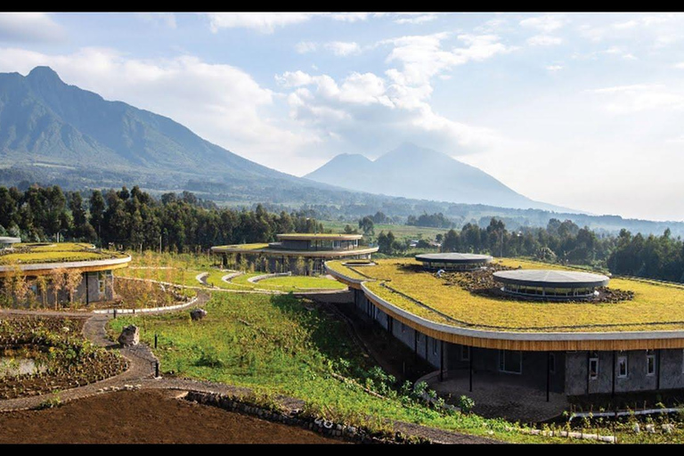 1 Day Rwanda gorilla Trekking and Dian Fossey Museum