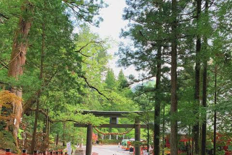 From Tokyo To Nikko Private Day Tour With English Guide