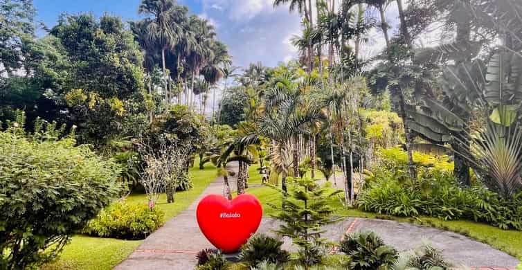 Jardin de Balata et forêt tropicale : jungle et colibris