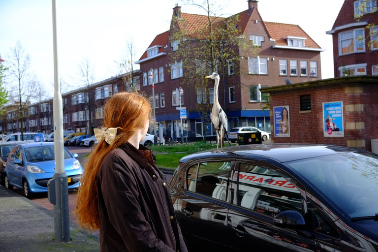 The Hague: Laakkwartier Guided Walking Tour