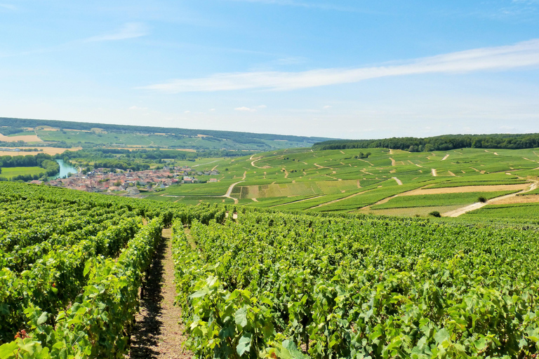 Partida de Paris: Visita de dia inteiro, refeição e provas com um sommelier