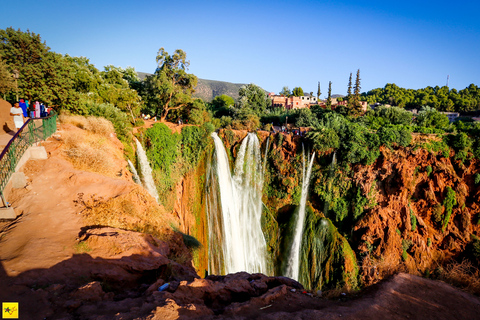 From Marrakech: Ouzoud Waterfalls Guided Hike and Boat Trip