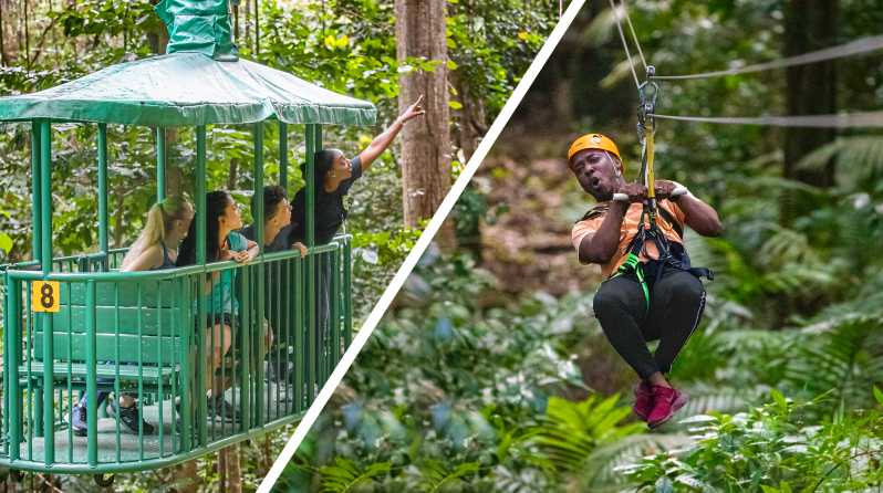 Adrena-Line Zipline Canopy Tour at Rainforest Adventures