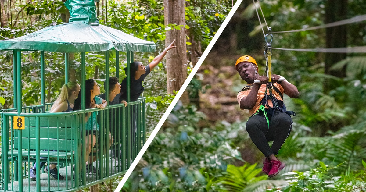 セントルシア：レインフォレスト アドベンチャーズのアドレナリン ジップライン ツアー GetYourGuide