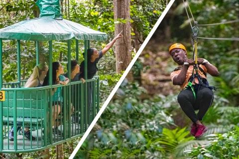 St. Lucia: Rainforest Adventure Adrenaline TourPrzygoda w lesie deszczowym St. Lucia: transfer do portu wycieczkowego
