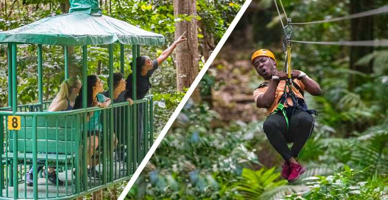 St. Lucia: Adrenaline Zipline Tour at Rainforest Adventures