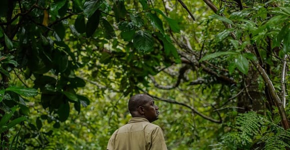 Jozani forest , Kuza cave and mtende beach