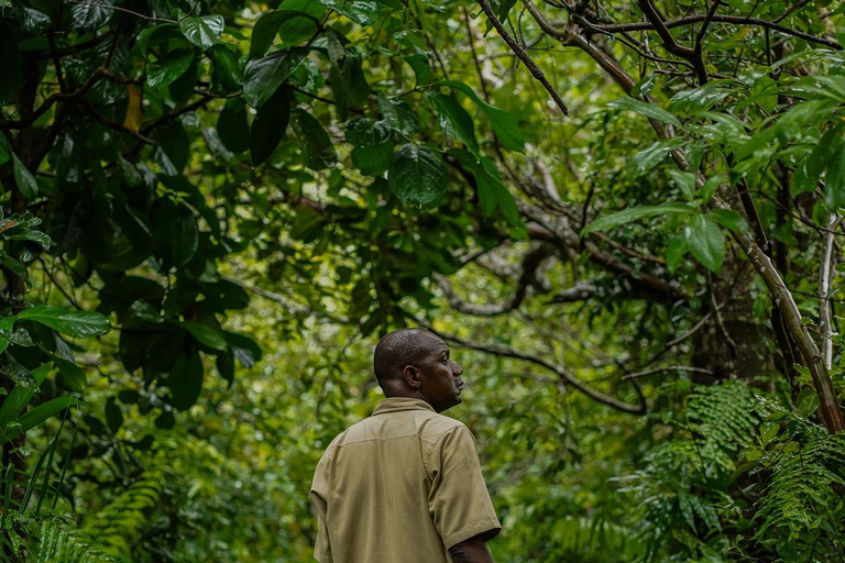 ZANZIBAR; JOZANI FOREST