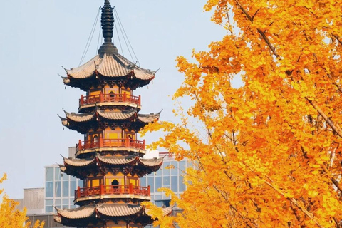 Shanghai: Longhua Temple Buddhist tour with local expert