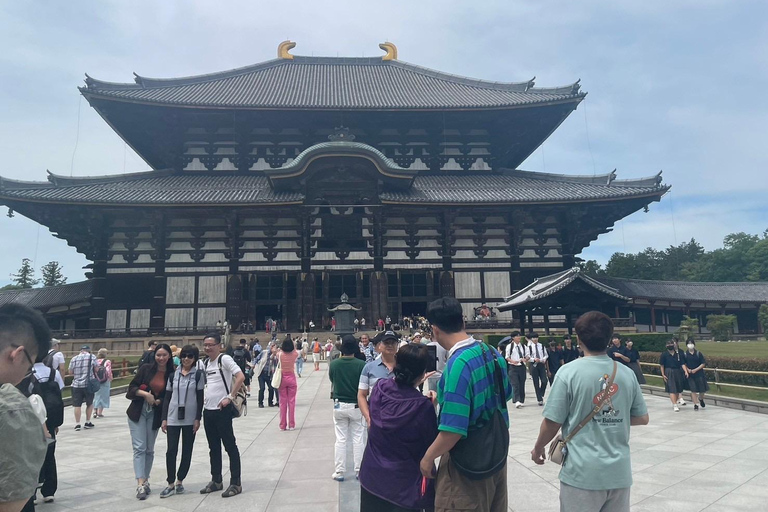 From Osaka: Nara 5 hours. Uncover the first capital of Japan