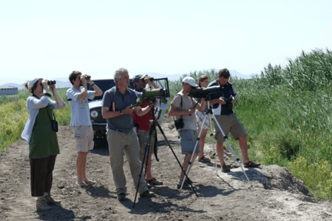 Yerevan: Private Birdwatching Experience