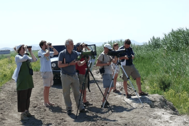 Yerevan: Private Birdwatching Experience