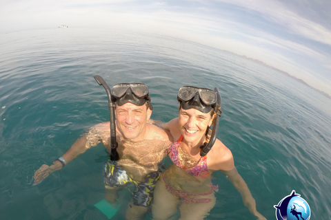 Safari z rurką Mobula RayPrywatne safari z rurką Mobula Ray