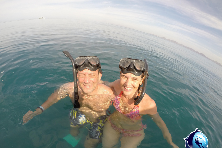 Safari z rurką Mobula RayPrywatne safari z rurką Mobula Ray