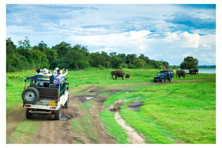 Dambulla: Sigiriya, Cave temple, Safari & Lunch Private Tour Sigiriya :Private Tour with Dambulla, Village Lunch & Safari