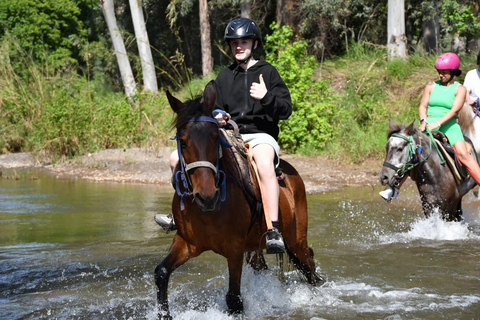 Marmaris: Horseback Riding Tour with Hotel Pickup