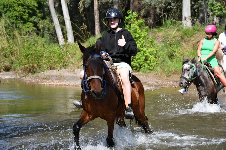 Marmaris: Horseback Riding Tour with Hotel Pickup
