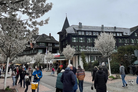 Vanuit Bazel: privé-excursie naar het Zwarte Woud, watervallen en meren