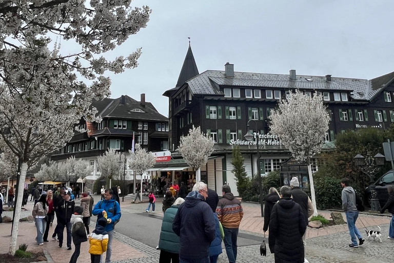 Vanuit Bazel: privé-excursie naar het Zwarte Woud, watervallen en meren