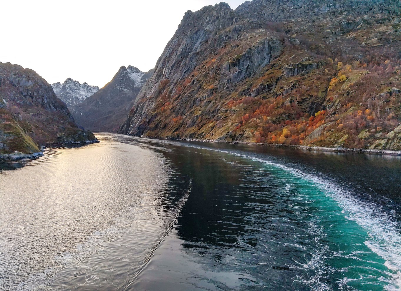 Fra Svolvær: Lofoten Silent Trollfjord Cruise