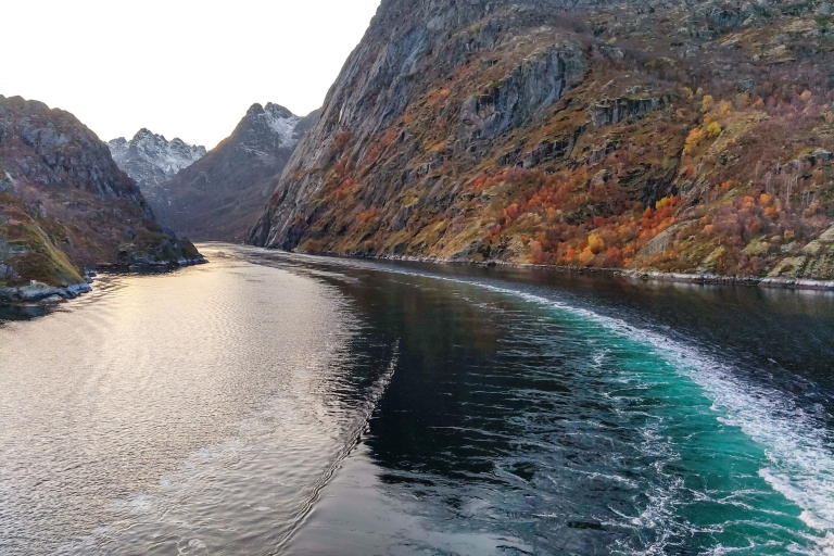 Ze Svolvær: Cichy rejs po Trollfjordzie na Lofotach
