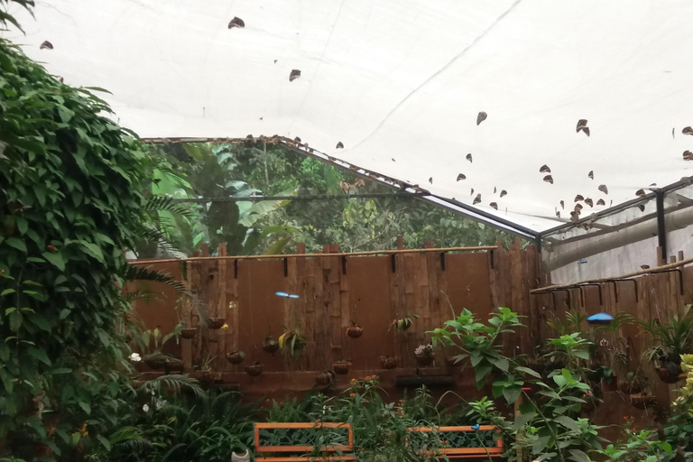 Quito: Waterfall, Hummingbirds, Butterfly Tour, Equator line