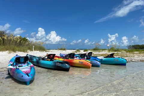 Tierra Verde FL: Coastal Kayaking Tour in Shell Key Single Kayak