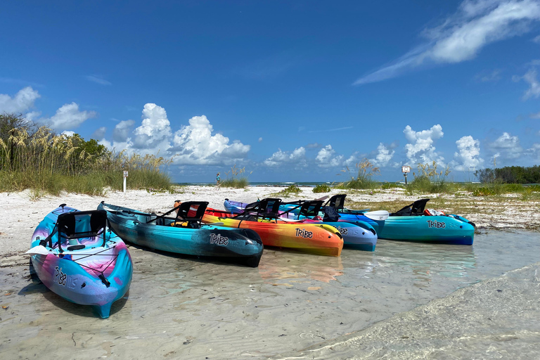 Tierra Verde FL: Coastal Kayaking Tour in Shell Key Single Kayak
